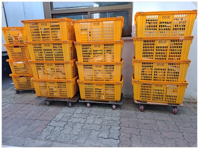 갤러리 사진